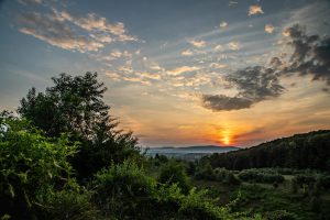 shutterstock_1722111463